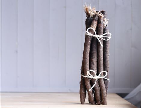 bunch of organic black salsify