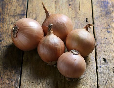 Onions, White, Organic (500g)