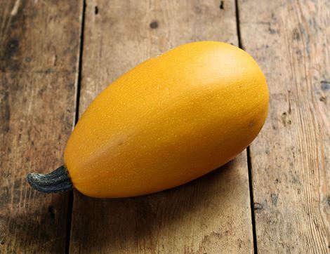 Spaghetti 'Aldenti' Squash, Organic