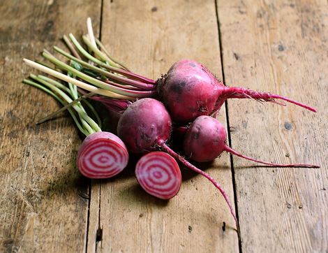 Bunched Chioggia Beetroot, Organic