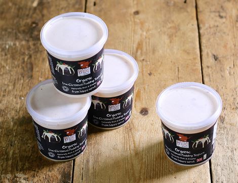 Christmas Pudding Yogurt, Organic, Brown Cow Organics (4 x 145g)