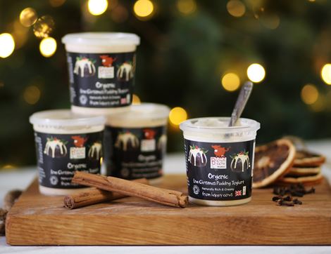 Christmas Pudding Yogurt, Organic, Brown Cow Organics (4 x 145g)