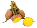 Bunched Golden Beetroot