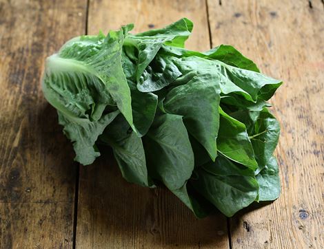 Cos Lettuce, Organic (1 head)