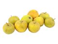 Herefordshire Russet Apples