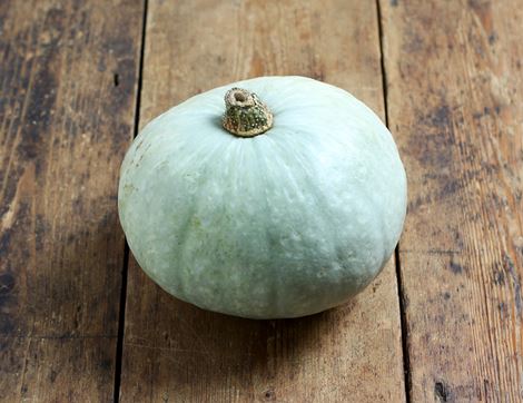 crown prince squash