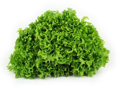 Lettuce, Green Frilly