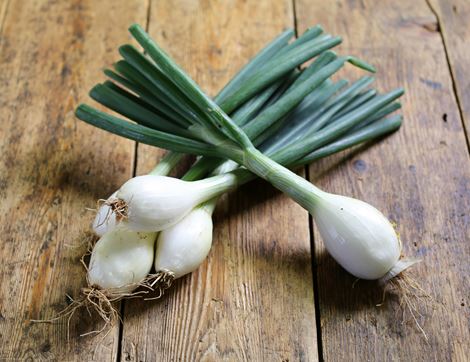 Green Bunched Onions, Organic (500g)