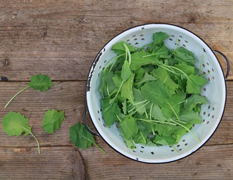 Baby Kale (100g)