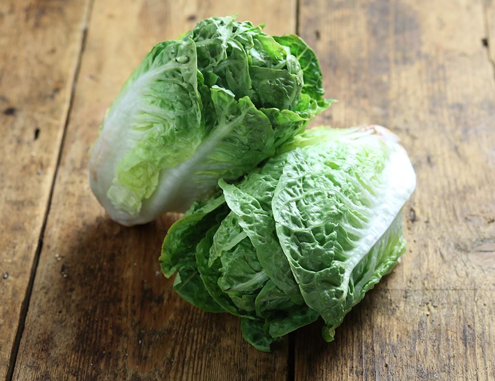 Салата ромэн romaine lettuce