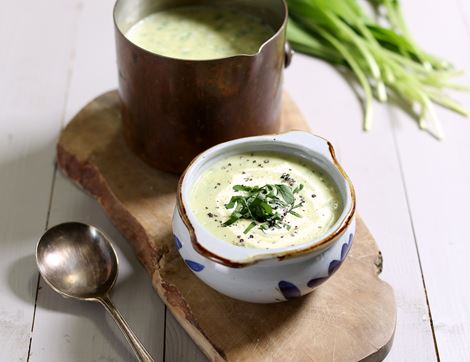 Seasonal Soup Recipe Box, Organic