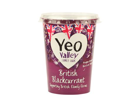 Blackcurrant Yogurt, Organic, Yeo Valley (450g)