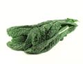 Cavolo Nero