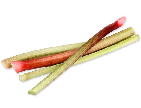 English Rhubarb (bunch)