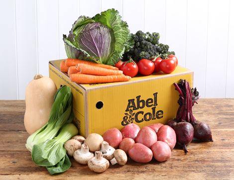 medium very veggie box