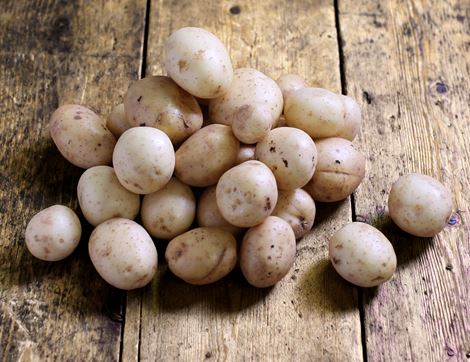 Salad Potatoes, Organic (1kg)