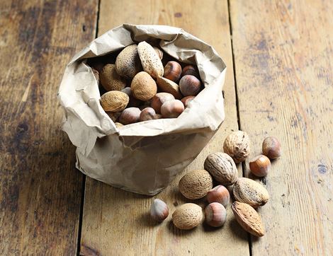 organic christmas mixed nuts in shells