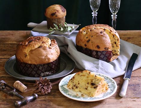 Orange & Chocolate Panettone, Organic, Evvivo (500g)