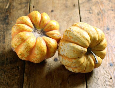 Sweet Lightning Squash, Organic (2 pieces)