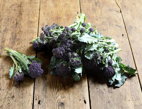 purple sprouting broccoli