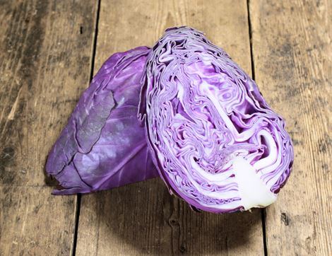 Red Pointed Cabbage, Organic