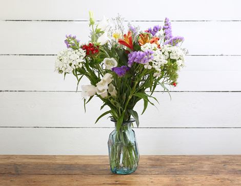 british summer flowers organic blooms