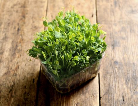 Micro Snow Pea Shoots, Organic (200g)