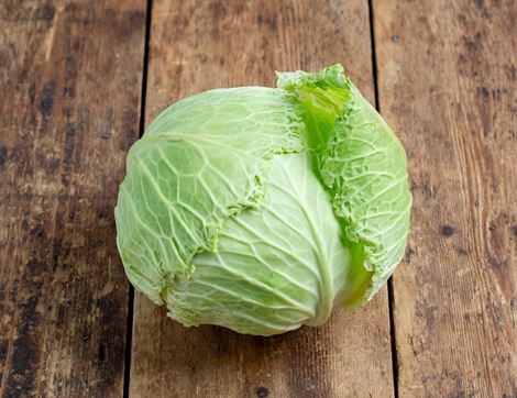 winter cabbage